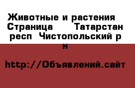  Животные и растения - Страница 23 . Татарстан респ.,Чистопольский р-н